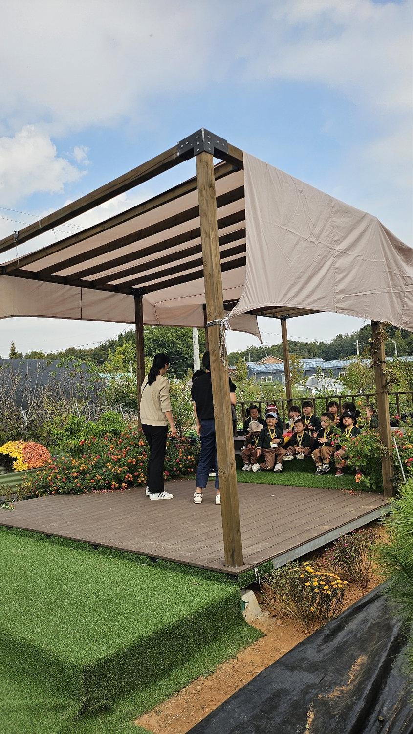 Wooden pergola and garden