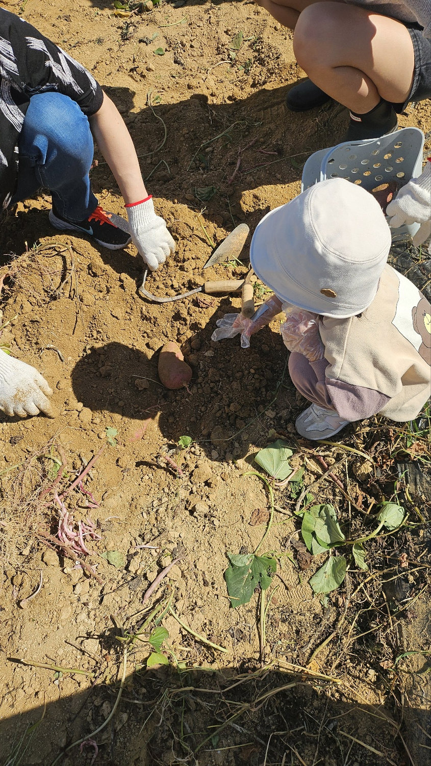 A child wearing gloves digging gently with a hand tool
