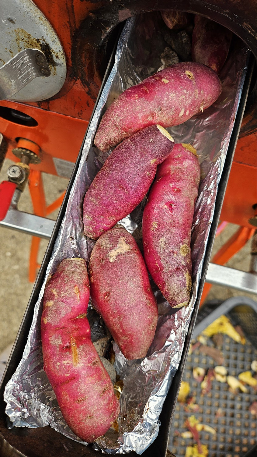 Farm-grown sweet potatoes roasting outdoors
